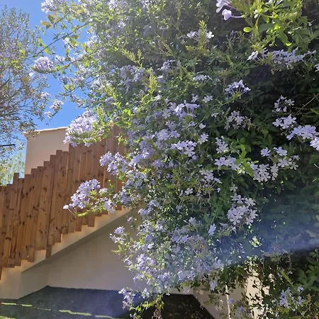 4 Personnes - 2 - Avec Jardin Privatif * Roquebrune-sur-Argens